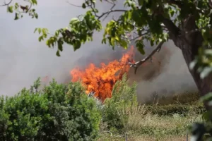 Piemonte, lotta agli incendi: 20 denunce e sanzioni per 91 mila euro