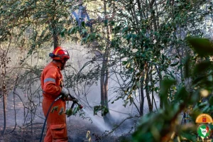 Incendi nel Fiorentino e in Versilia, fiamme sotto controllo ma l’allerta resta alta