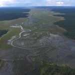 Important study reveals Angola’s peatlands are vastly underestimated, impacting climate change.