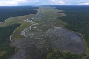 Important study reveals Angola’s peatlands are vastly underestimated, impacting climate change.
