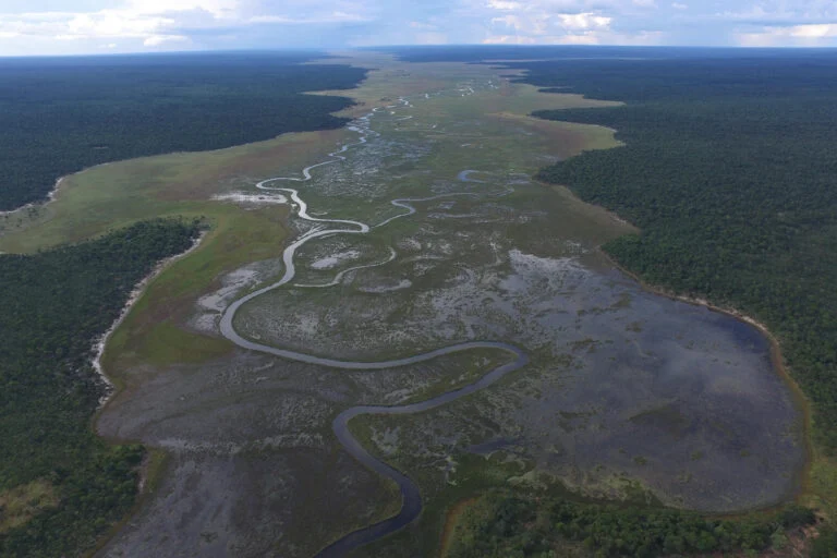 Important study reveals Angola’s peatlands are vastly underestimated, impacting climate change.