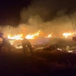 Incendi devastano il Parco Nazionale Bromo Tengger Semeru in Indonesia: un dramma ecologico.