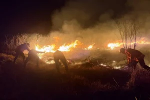 Incendi devastano il Parco Nazionale Bromo Tengger Semeru in Indonesia: un dramma ecologico.