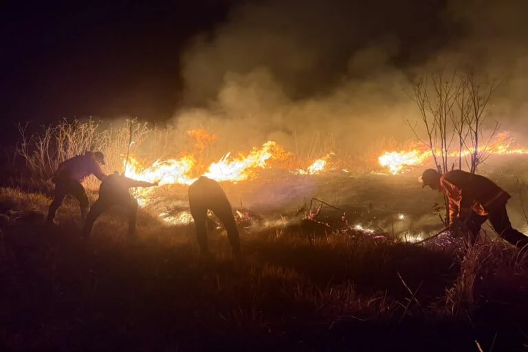 Incendi devastano il Parco Nazionale Bromo Tengger Semeru in Indonesia: un dramma ecologico.