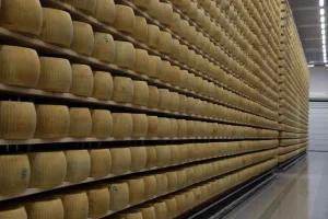 Emilia-Romagna investe 6 milioni per valorizzare le sue eccellenze agroalimentari certificate.