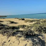 Importanza della conoscenza ecologica nelle conservazione: il deserto dell’Egitto ne è un esempio lampante.