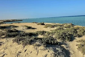 Red_Sea_coastal_landscape-768x512.jpg