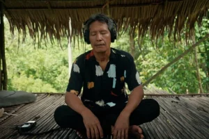 I cambiamenti acustici della foresta di Borneo con l’emergere della nuova capitale indonesiana.