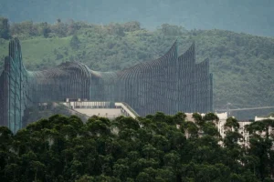 Registrazione della foresta pluviale prima che la nuova capitale dell’Indonesia la trasformi. Titolo: “Registrazione della foresta prima del cambiamento di capitale”