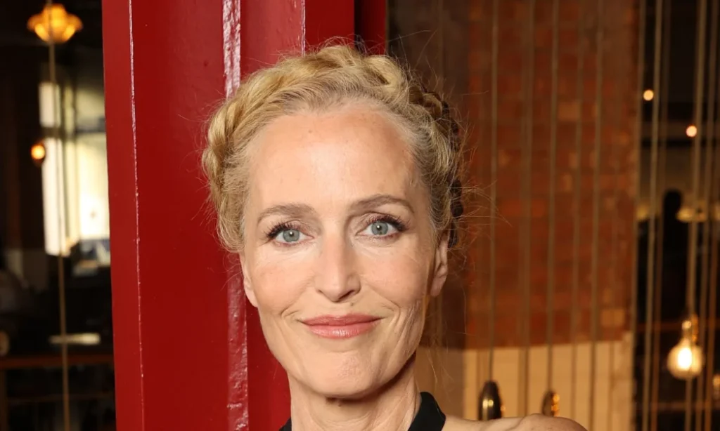 Gillian Anderson’s Chic Fit-and-Flare Dress – A Must-Have for Every Wardrobe