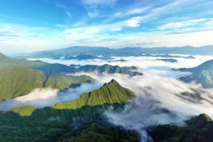 Riserva del Monte Tianmu in Cina: conservazione moderna tra tradizioni religiose. Scopri di più!