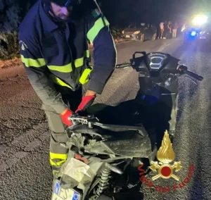 Scontro tra una moto e un cinghiale, due feriti in Gallura nella notte