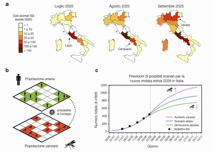 West Nile, sviluppato un modello matematico per capire le ondate epidemiche