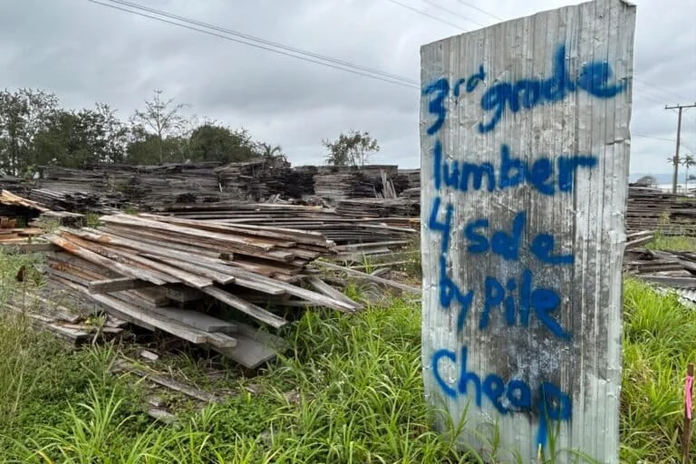 Mennoniti in Belize: come hanno acquisito terreni e dominato le foreste.
