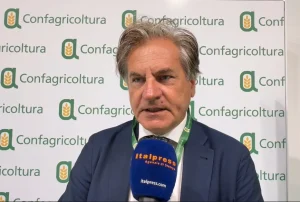 “Confagricoltura: mancanza di manodopera crea difficoltà nel settore agricolo” / Video