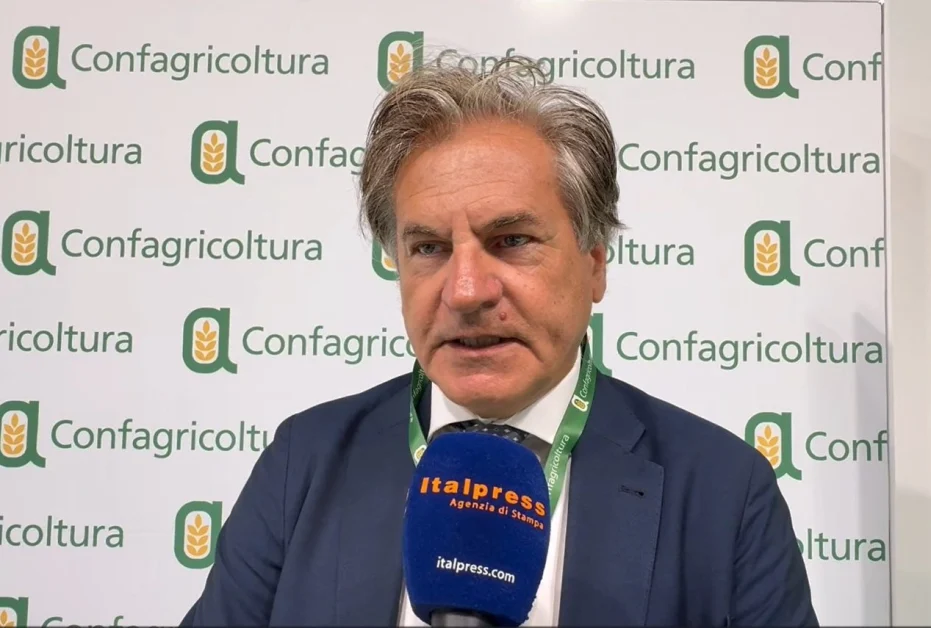 “Confagricoltura: mancanza di manodopera crea difficoltà nel settore agricolo” / Video