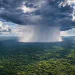 Nuovi studi rivelano la sorprendente resilienza di Amazon, ma il punto di non ritorno si avvicina.