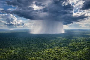 Nuovi studi rivelano la sorprendente resilienza di Amazon, ma il punto di non ritorno si avvicina.