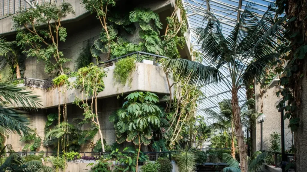 Porta a casa un pezzo del Barbican Conservatory prima della chiusura di tre anni.