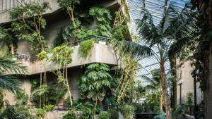Porta a casa un pezzo del Barbican Conservatory prima della chiusura di tre anni.
