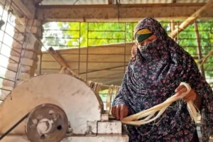 Banane: un sottoprodotto che genera profitti trasformando rifiuti agricoli in Bangladesh.