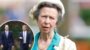Princess Anne pensa che William e Harry dovrebbero essere guidati, apprezzando i momenti con il Re.
“Apprezziamoli!”