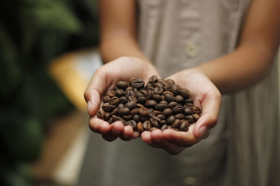 Italia promuove caffè e cacao sostenibili: filiere inclusive e rispettose dell’ambiente.