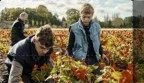 Close su Rai 5, Stasera in TV del 10 agosto 2026