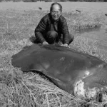 Hà Đình Đức, custode della leggendaria tartaruga di Hanoi, morto a 86 anni.