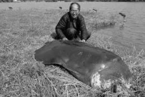 Hà Đình Đức, custode della leggendaria tartaruga di Hanoi, morto a 86 anni.
