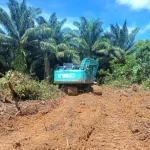 Espansione dell’olio di palma riaccende il conflitto sulle terre indigene in Indonesia.