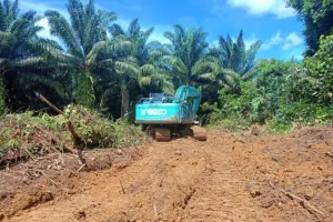 Espansione dell’olio di palma riaccende il conflitto sulle terre indigene in Indonesia.