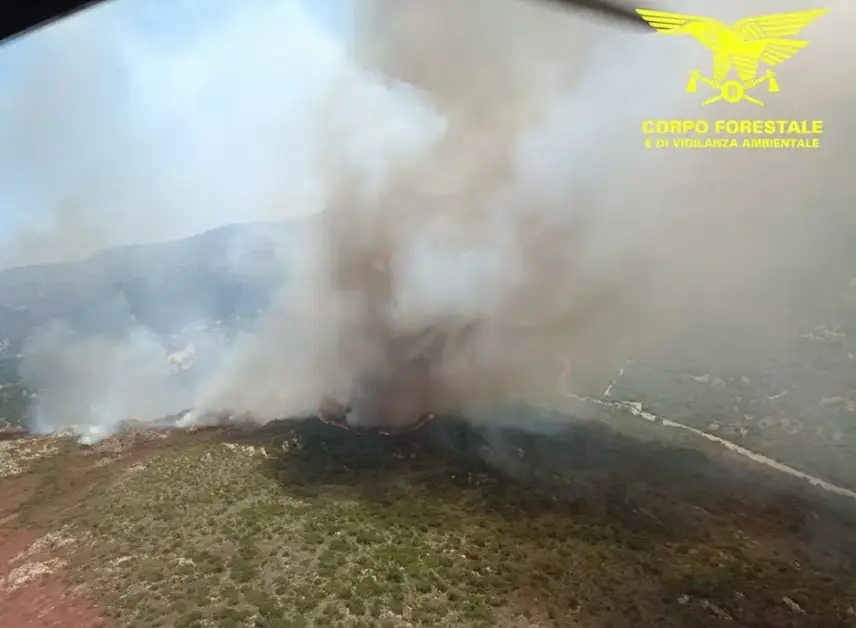 Vasto incendio nel territorio di Padru, in azione 4 elicotteri e 2 Canadair