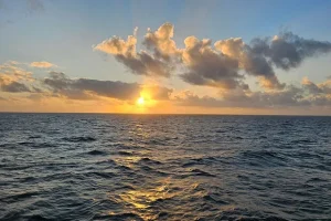 Temperature della superficie del mare raggiungono record di calore globale, di nuovo: dati preoccupanti.