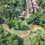 Programmi comunitari riducono la deforestazione a Borneo durante COVID-19: impatto positivo in Indonesia.