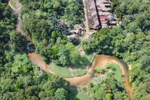 Programmi comunitari riducono la deforestazione a Borneo durante COVID-19: impatto positivo in Indonesia.