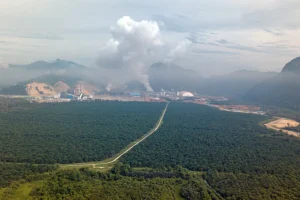 Espansione del nichel minaccia la biodiversità in Indonesia, avverte uno studio recente.