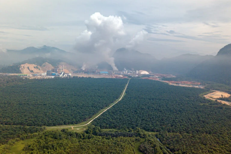Espansione del nichel minaccia la biodiversità in Indonesia, avverte uno studio recente.