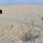 Villaggi filippini difendono i nidi delle tartarughe marine sulla spiaggia