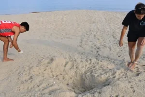 Villaggi filippini difendono i nidi delle tartarughe marine sulla spiaggia