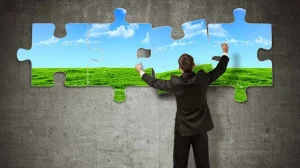 Quali sono le competenze green più richieste: i lavori del futuro passano dalla sostenibilità