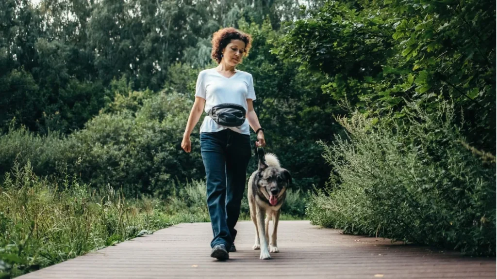 Best exercise routine for a healthy heart as you age: New study findings.