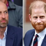 Il dettaglio che dimostra che Harry ha contattato William prima del trasferimento nel Regno Unito.