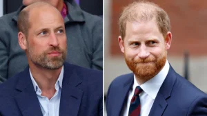 Il dettaglio che dimostra che Harry ha contattato William prima del trasferimento nel Regno Unito.