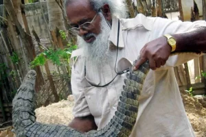 Il “padre dell’erpetologia” dello Sri Lanka, 86 anni, ispira una nuova generazione di conservazionisti.