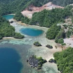 Conservazione marina contro miniere in Indonesia: conflitto nella ricca biodiversità di Moramo Bay.