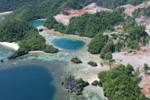 Conservazione marina contro miniere in Indonesia: conflitto nella ricca biodiversità di Moramo Bay.