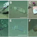 Rifiuti di plastica e gomma trovati nel canyon sottomarino remoto al largo della costa argentina