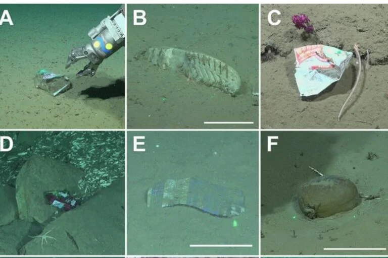 Rifiuti di plastica e gomma trovati nel canyon sottomarino remoto al largo della costa argentina (pagina 3)
