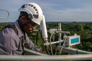 Rumors on Congo Basin climate projects shed light on conservation efforts.